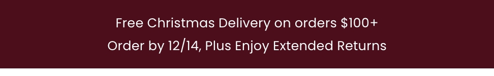 Free Christmas Delivery