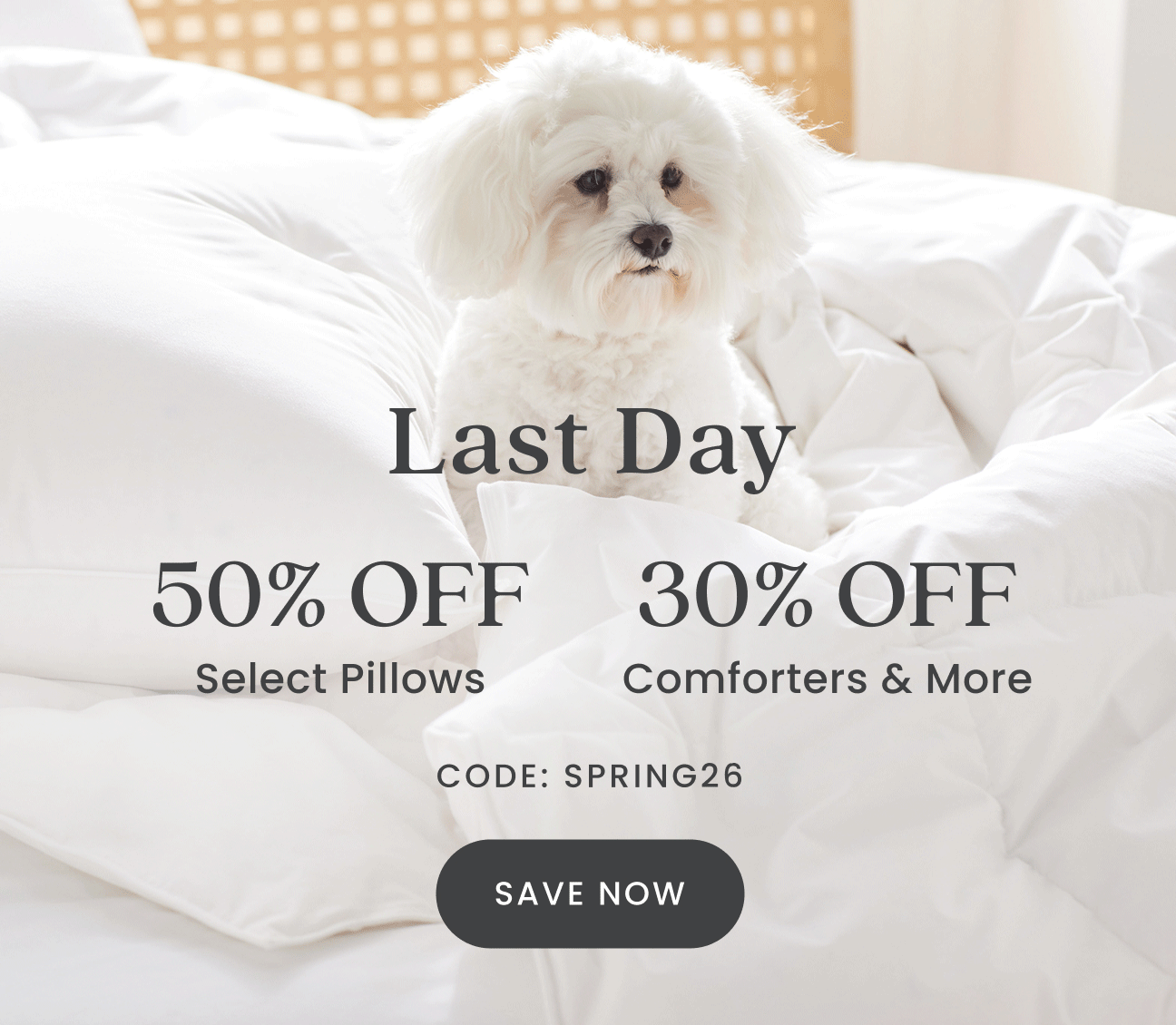 Flash Sale Ends Tonight