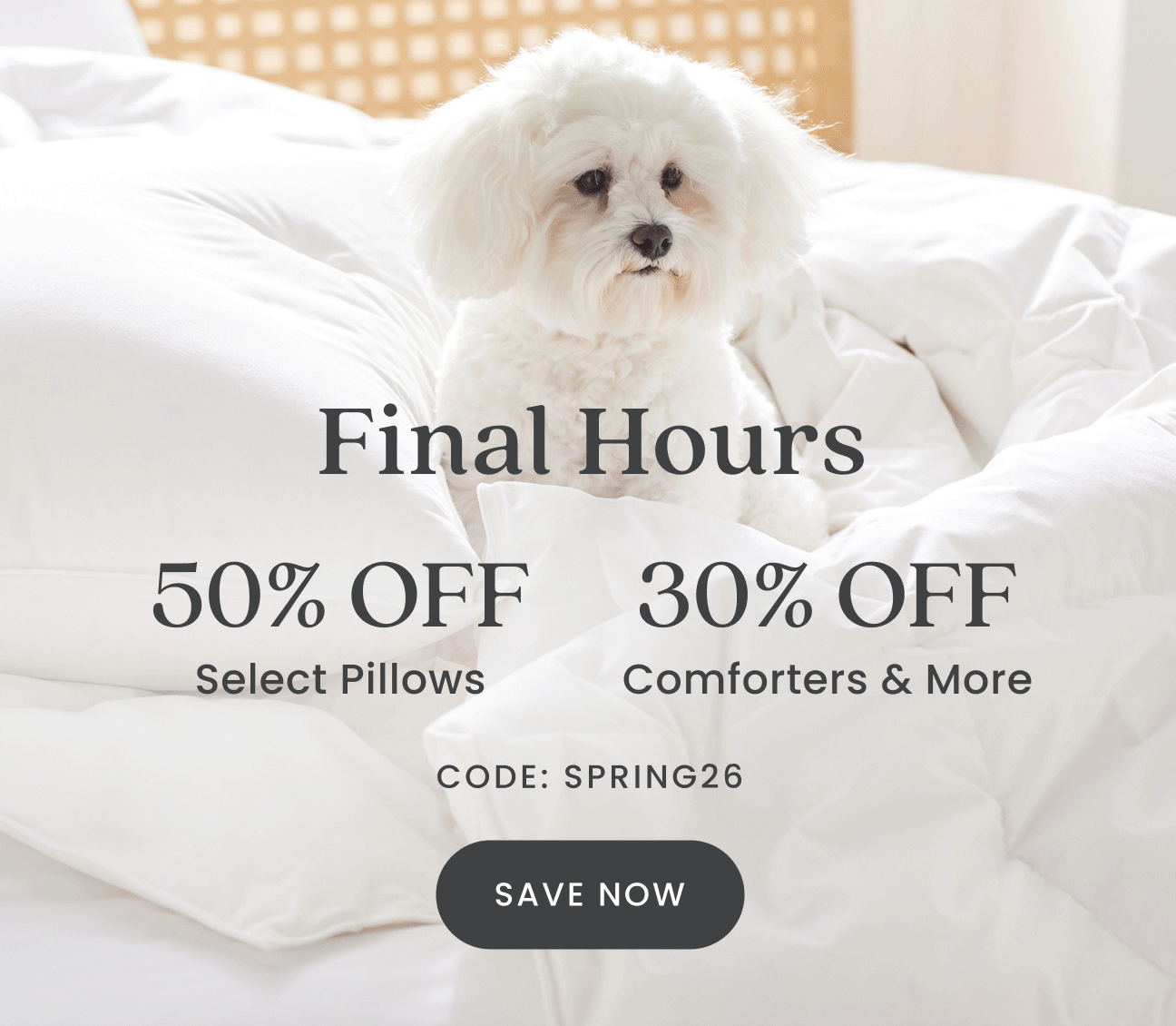 Final Hours: 50% Off Select Pillows + 30% Off Comforters & More