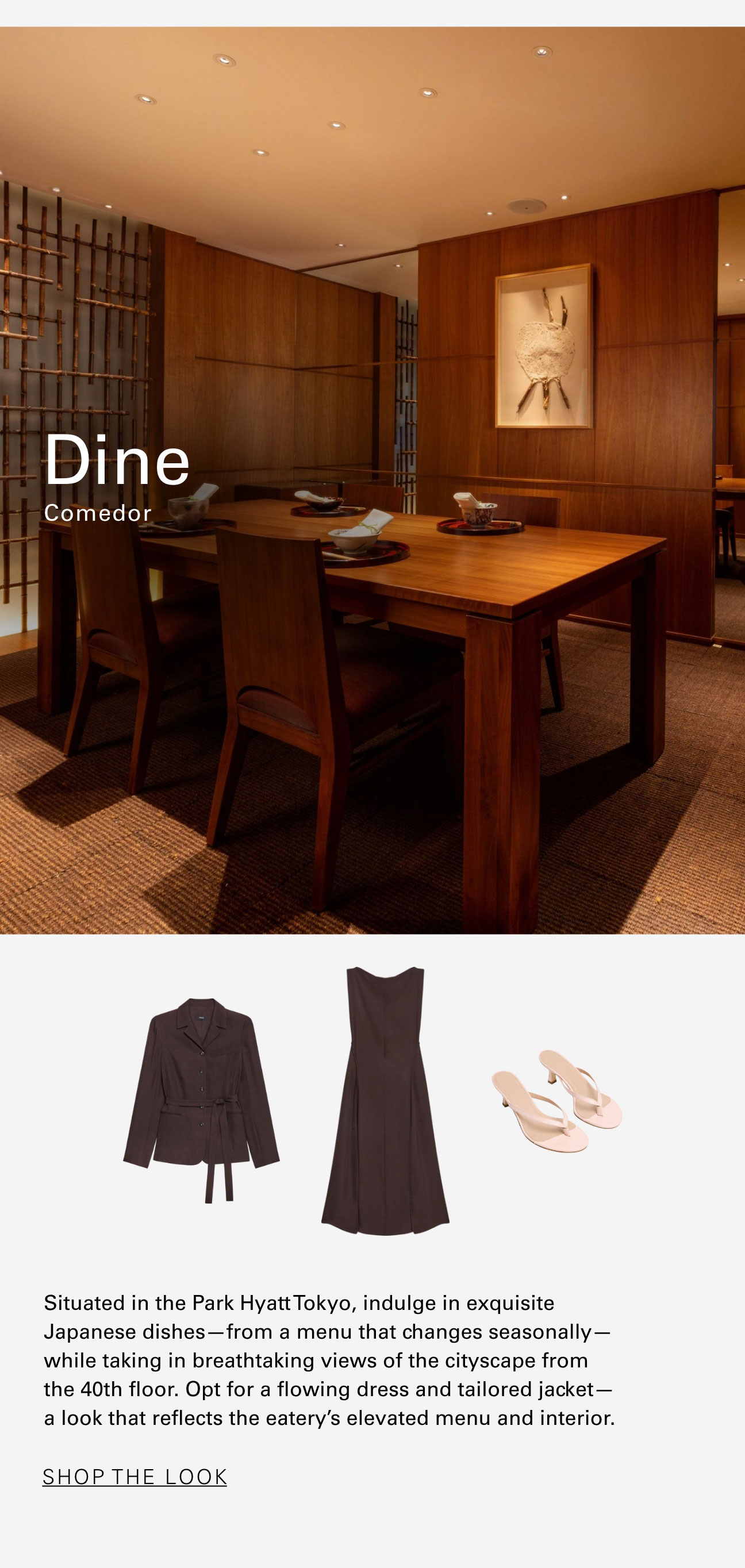 Shop The Look