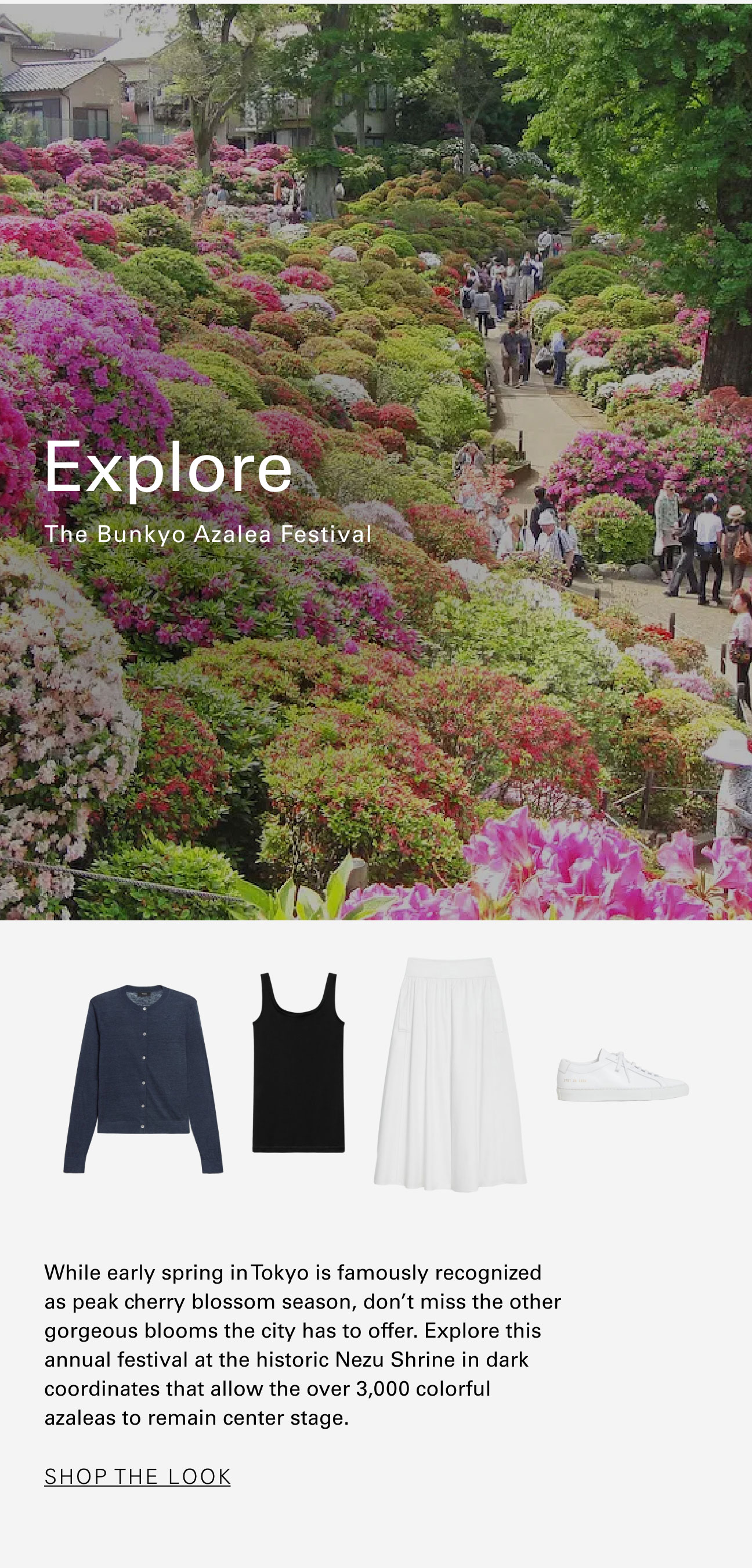 Shop The Look