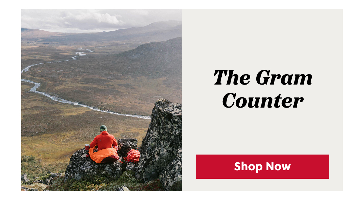 TheGramCounter
