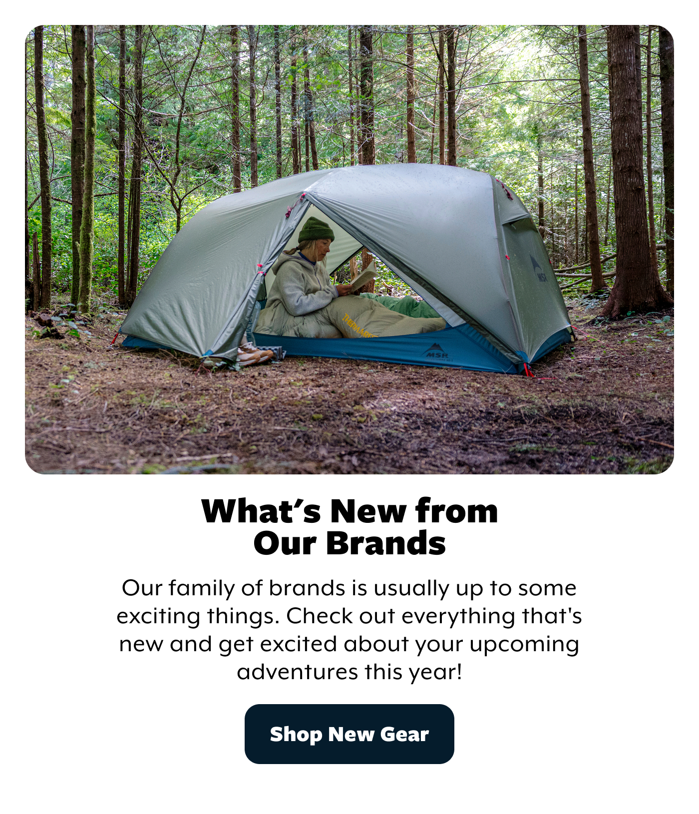 Shop-New-Gear