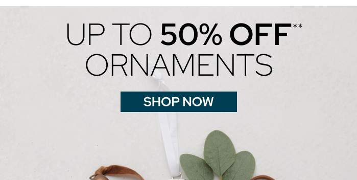 Up to 50% Off** Ornaments
