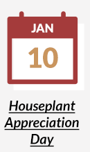 Houseplant Appreciation Day