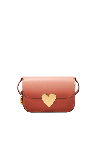 Fossil Lennox Crossbody Bag in Faded Red