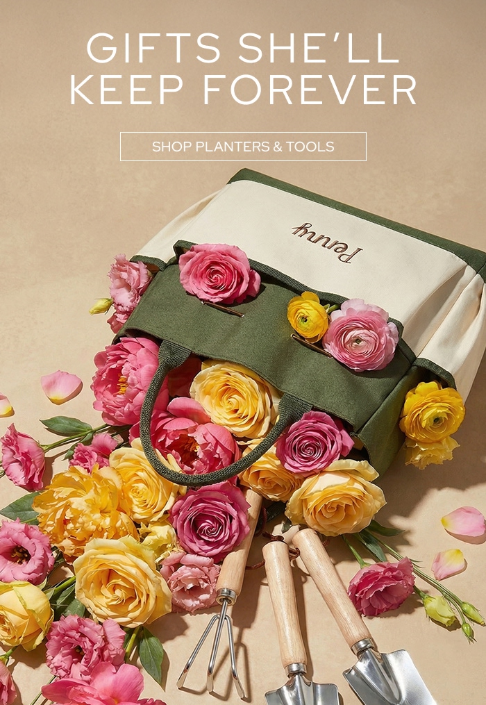 Shop Planters & Tools