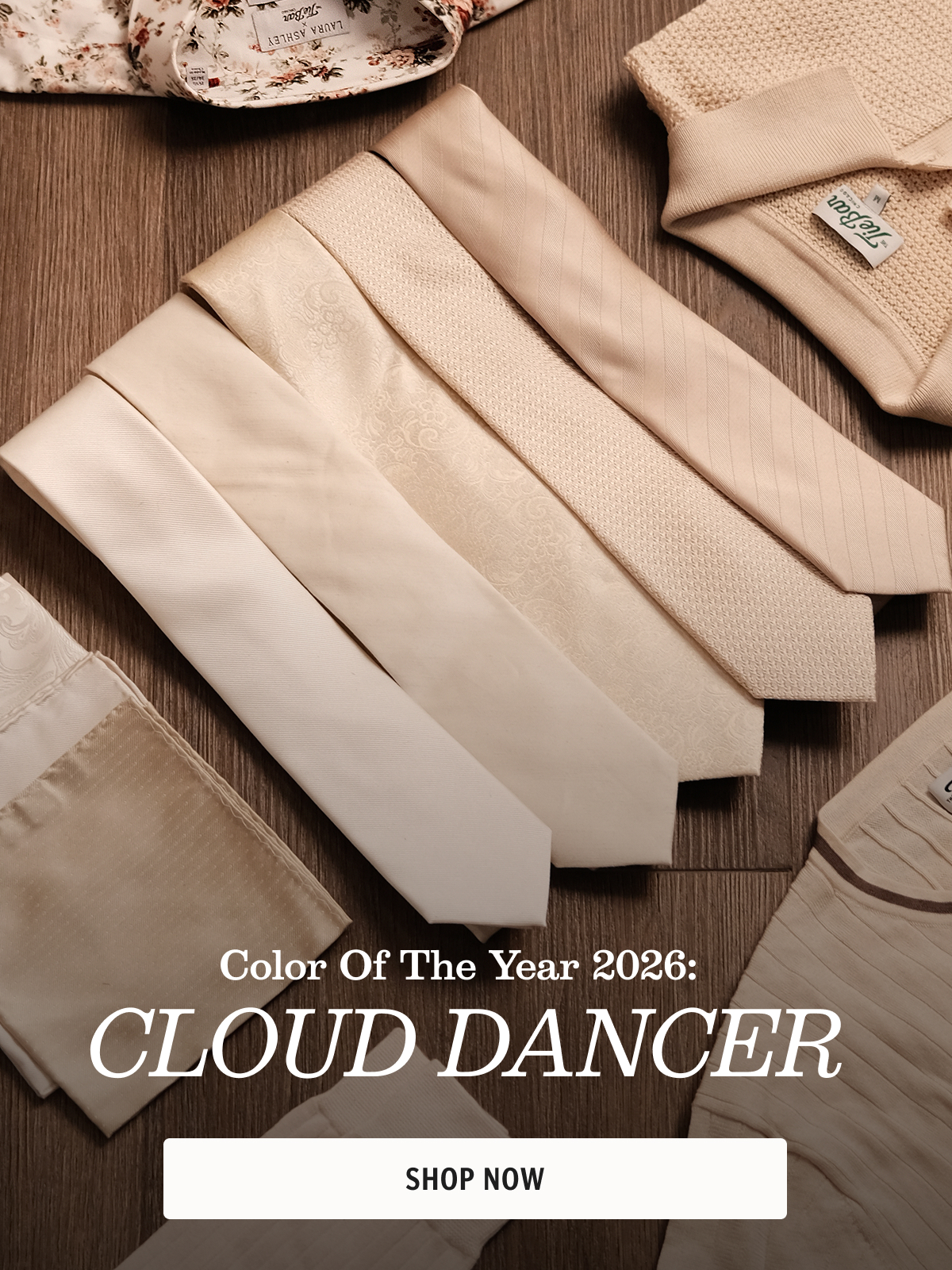 Color of the Year 2026: Cloud Dancer