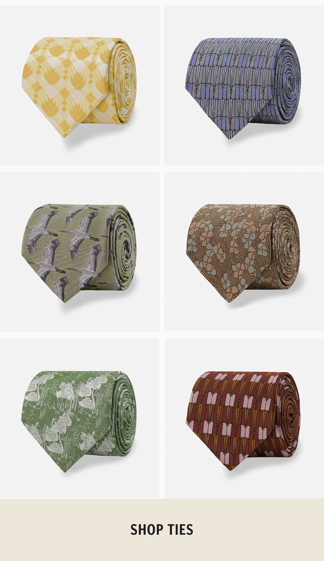 Shop Ties