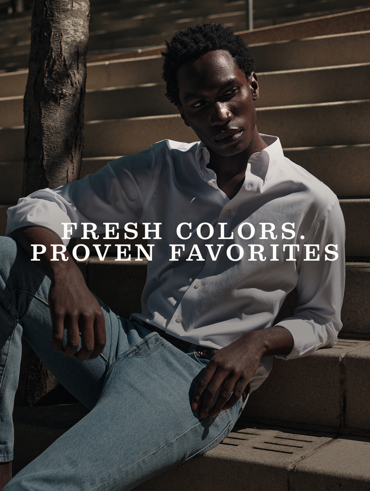 Fresh Colors. Proven Favorites.