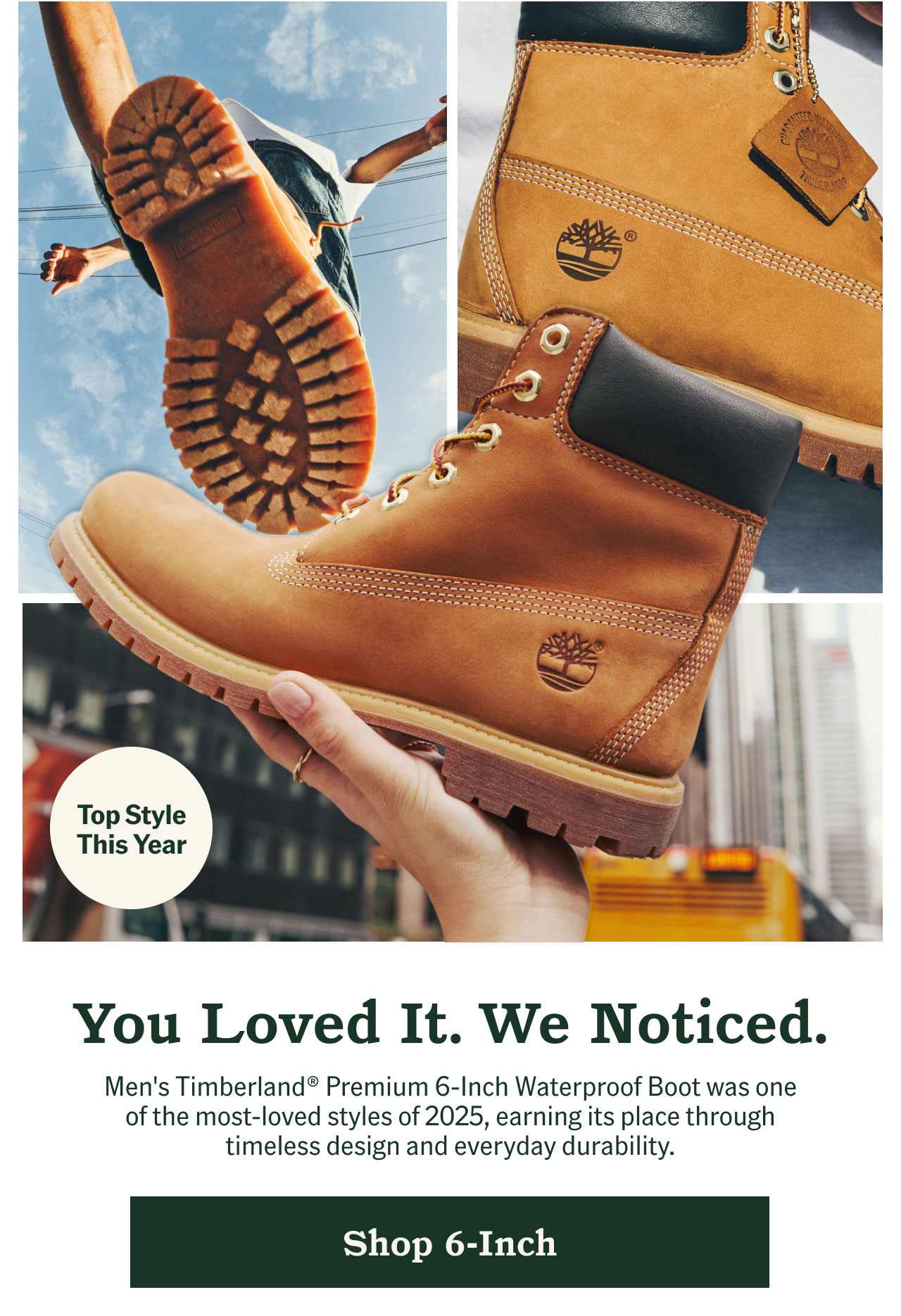 You Loved It. We Noticed. Shop 6-Inch