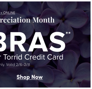  Shop Now >