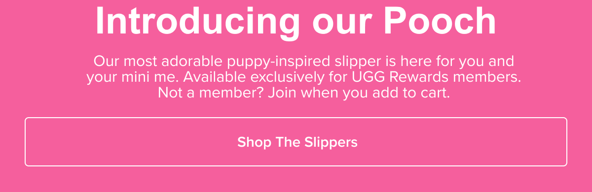 Introducing our Pooch | Shop The Slippers