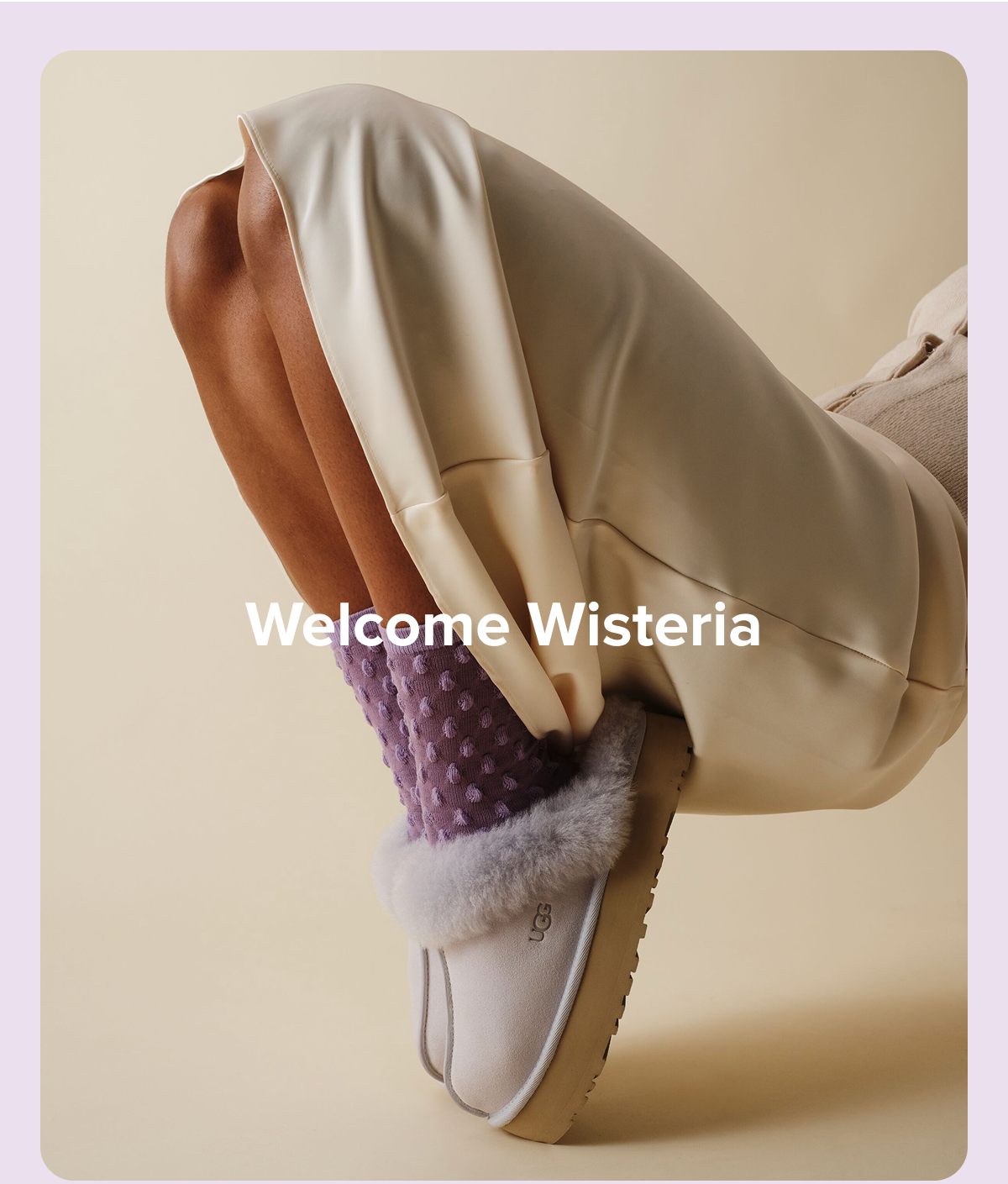 Welcome Wisteria