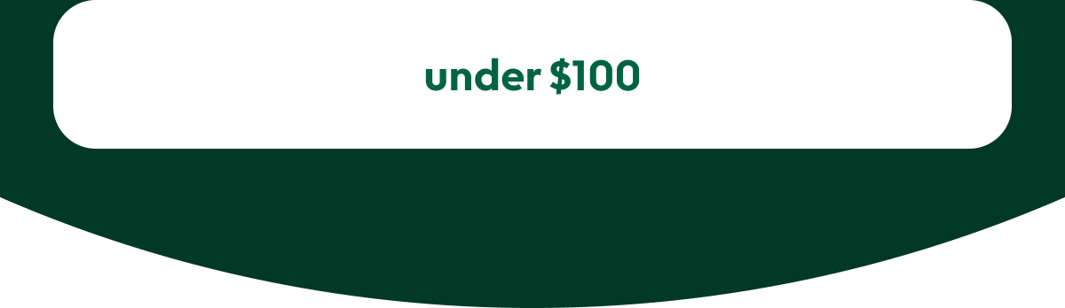 gifts-under-100