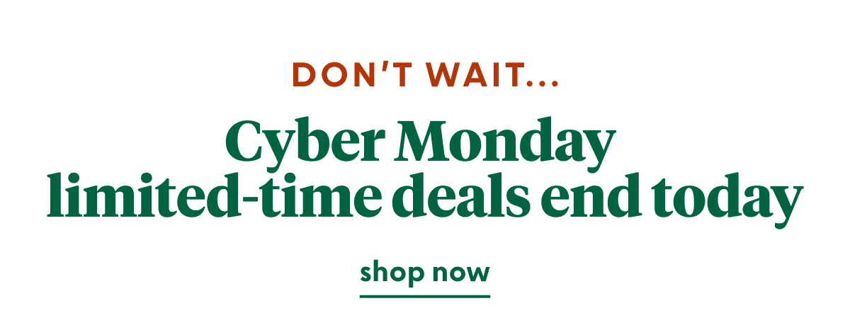 cyber-monday-deals
