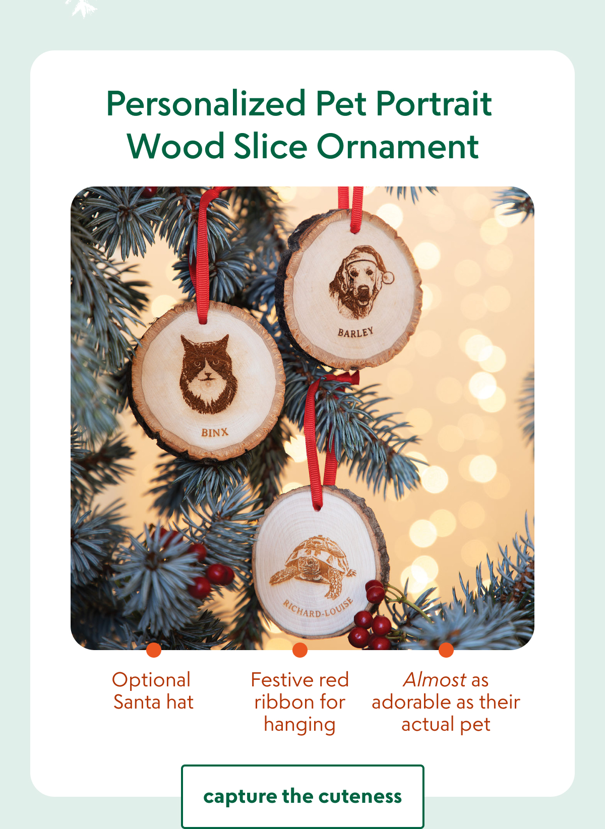personalized-pet-portrait-wood-slice-ornament