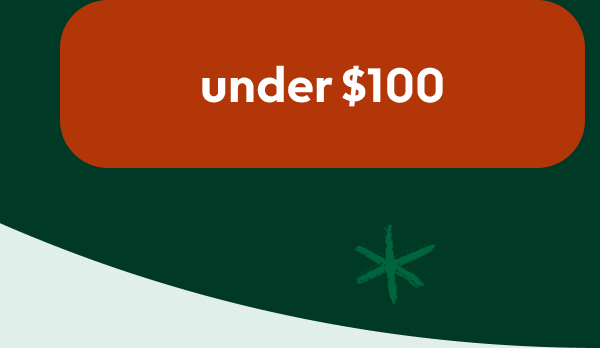 christmas-gifts-under-100
