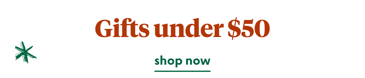christmas-gifts-under-50