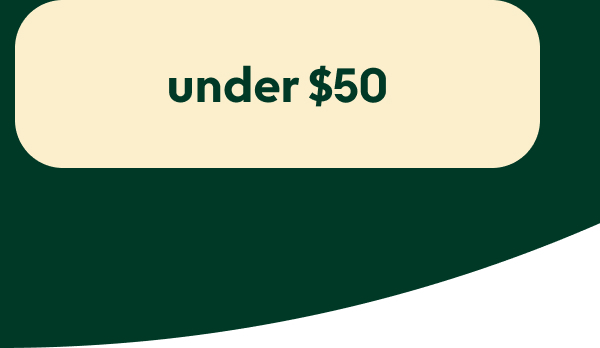 christmas-gifts-under-50