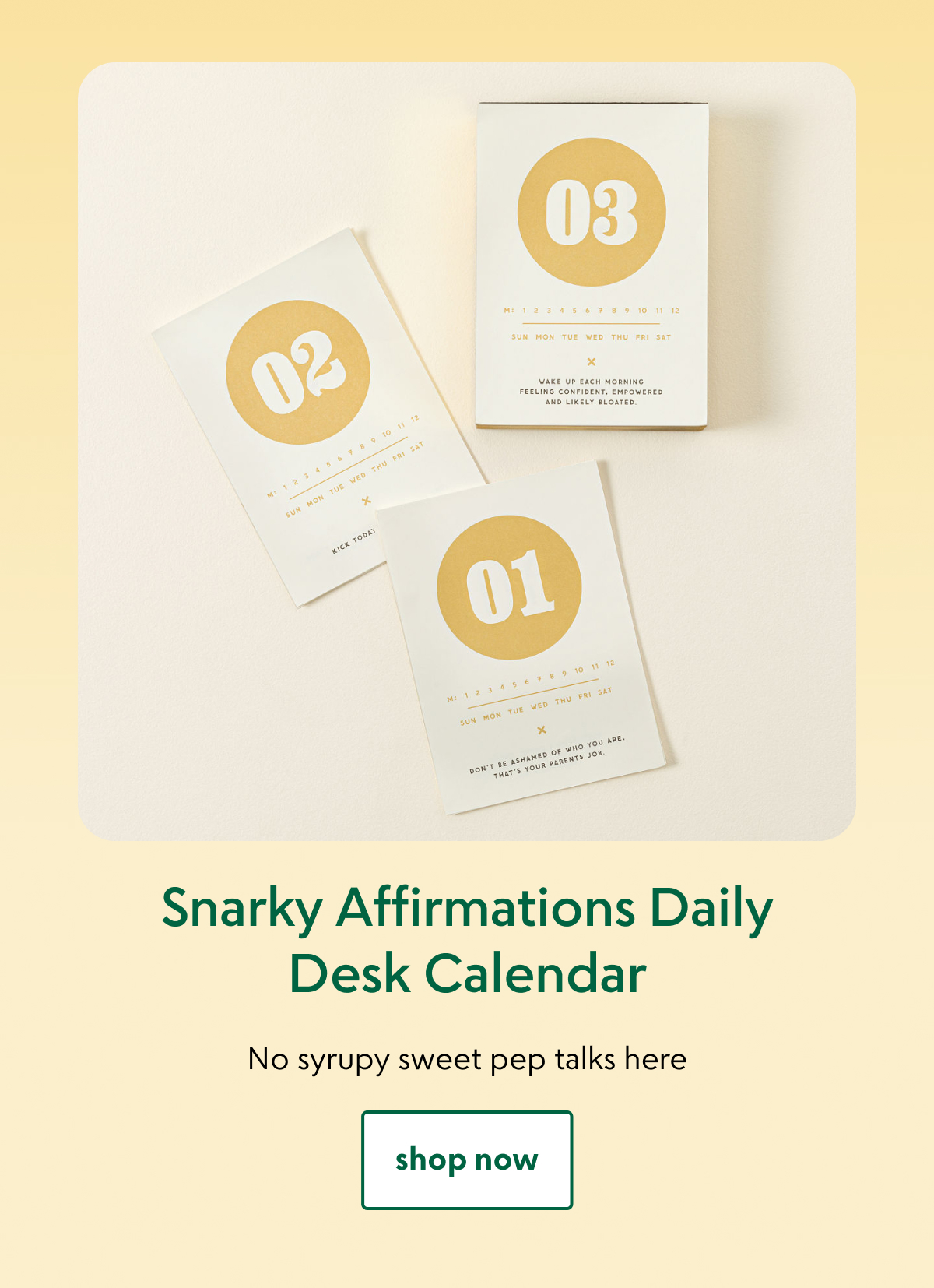 snarky-affirmations-daily-desk-calendar