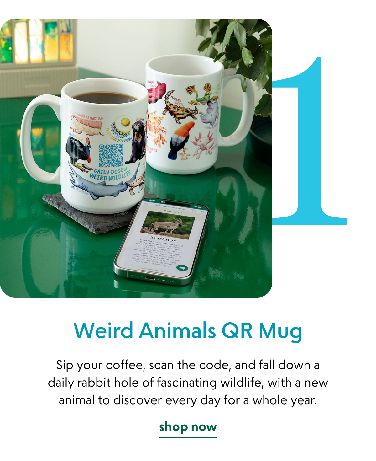 weird-animals-qr-mug