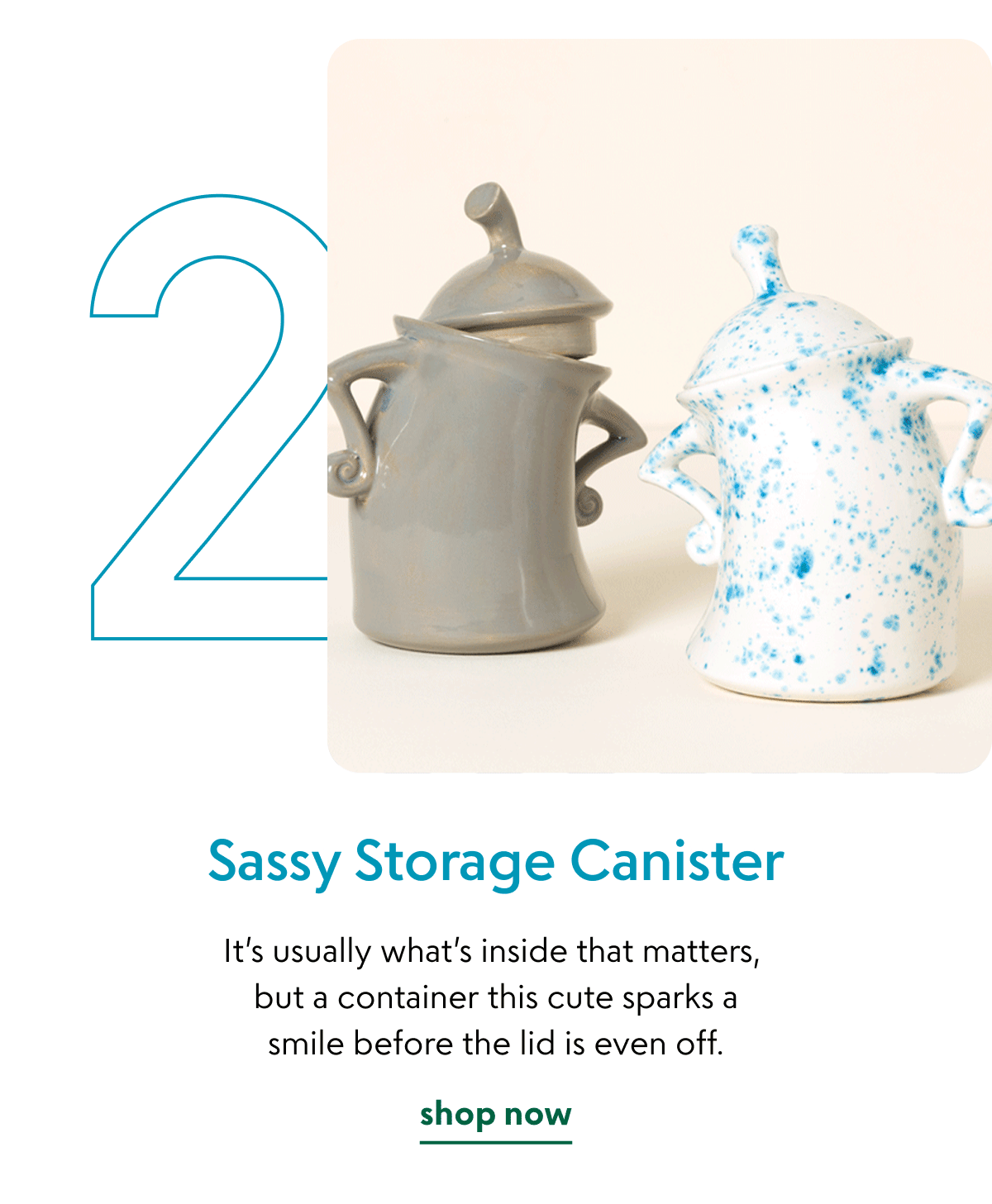 sassy-storage-canister