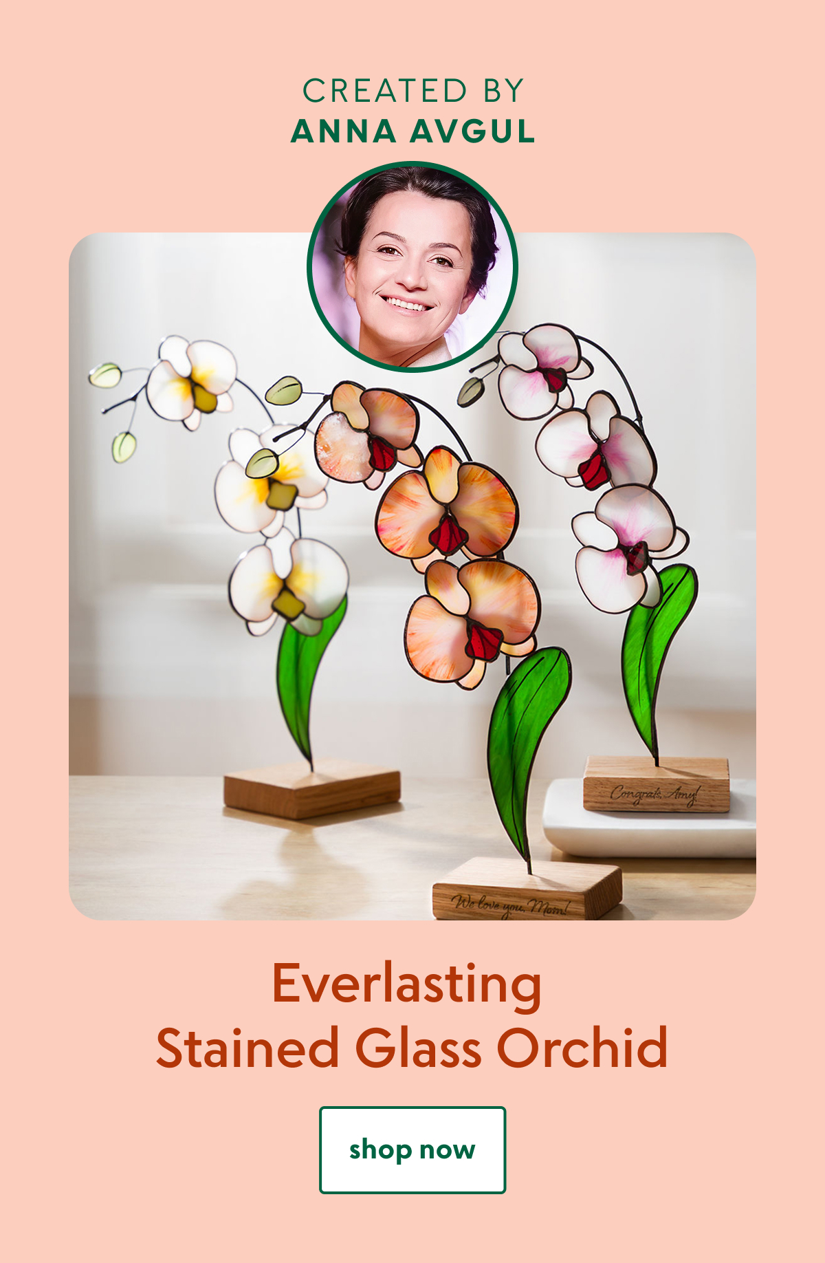everlasting-stained-glass-orchid