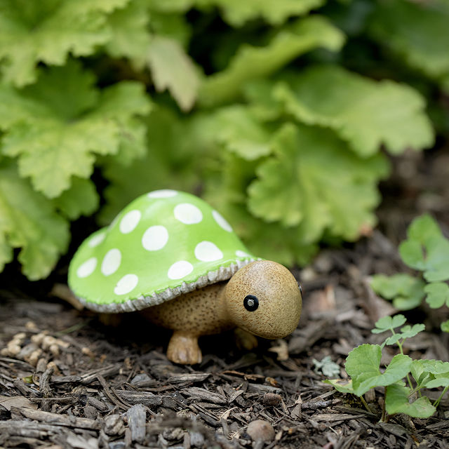  "Mushroom