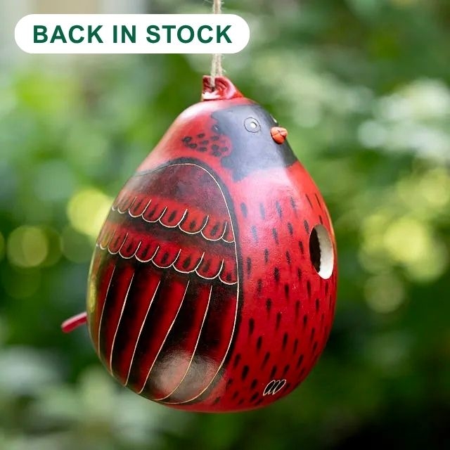Cardinal Gourd Birdhouse