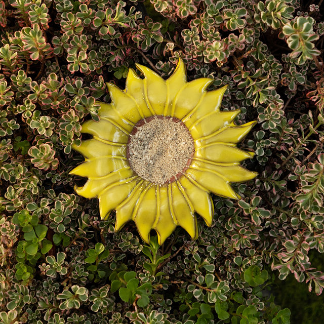  "Yellow