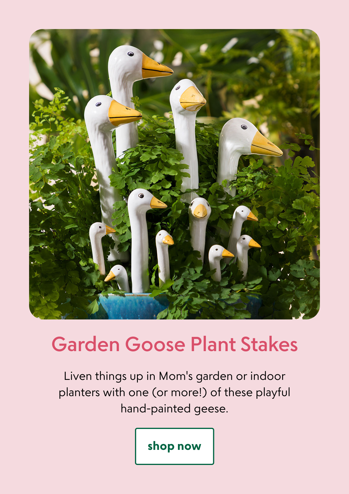 garden-goose-plant-stakes