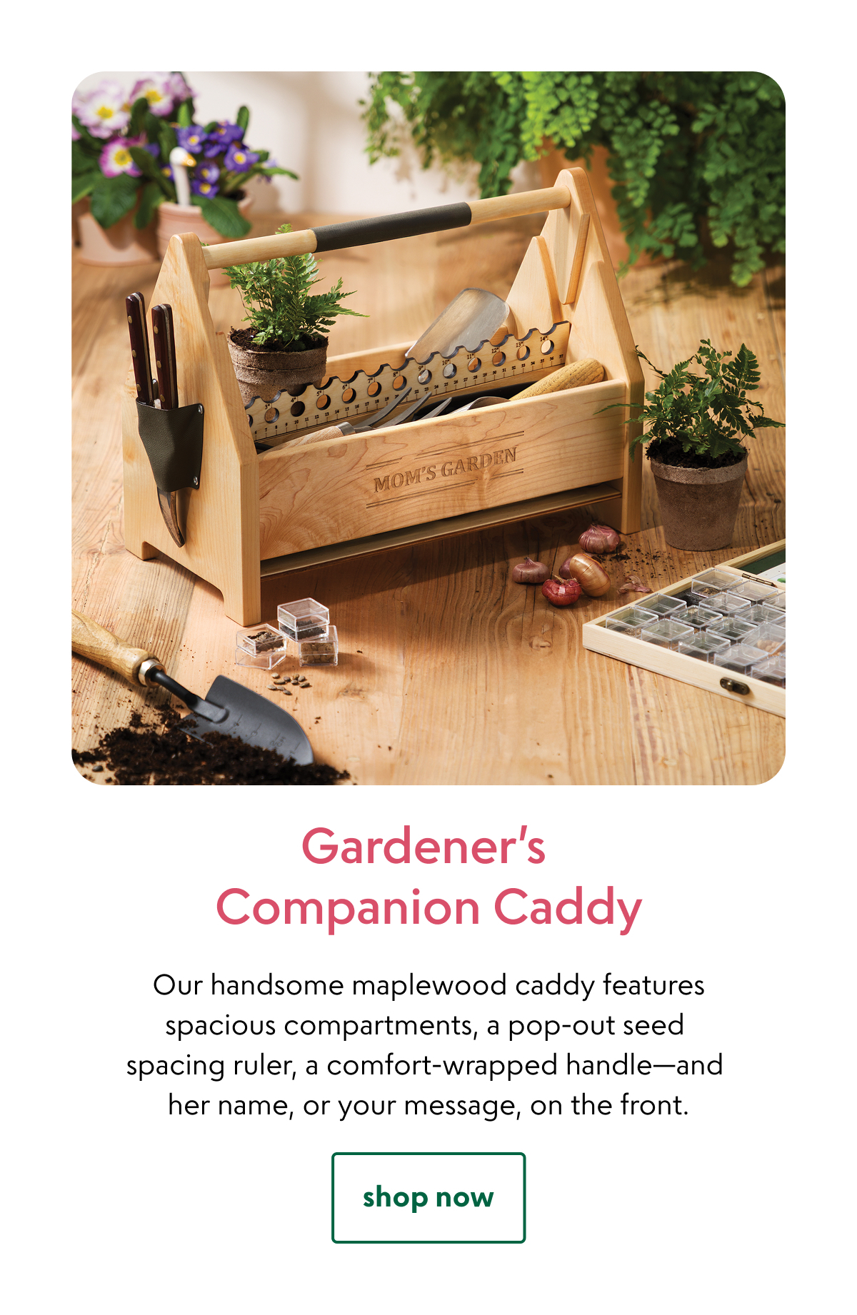gardeners-companion-caddy