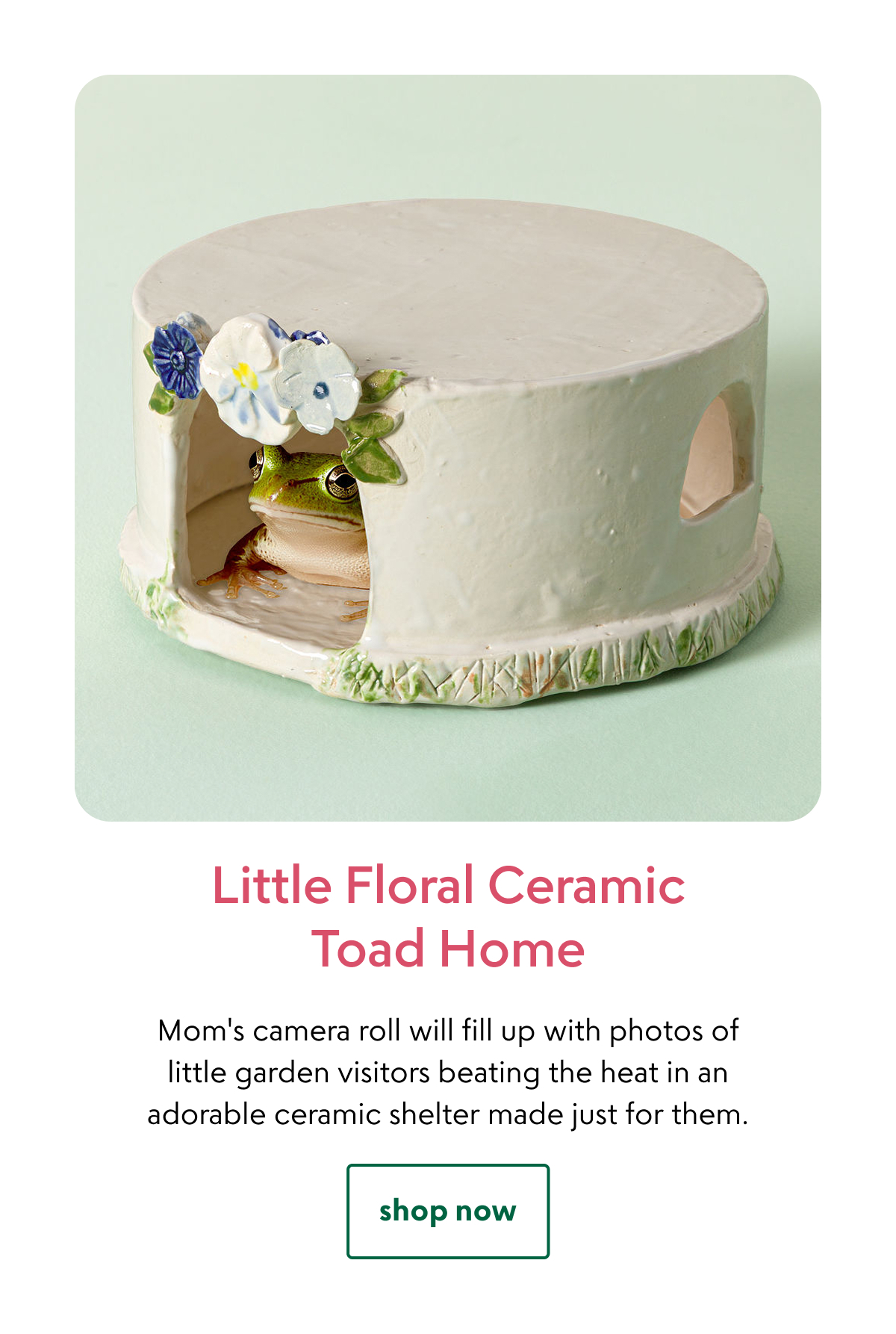 little-floral-ceramic-toad-home