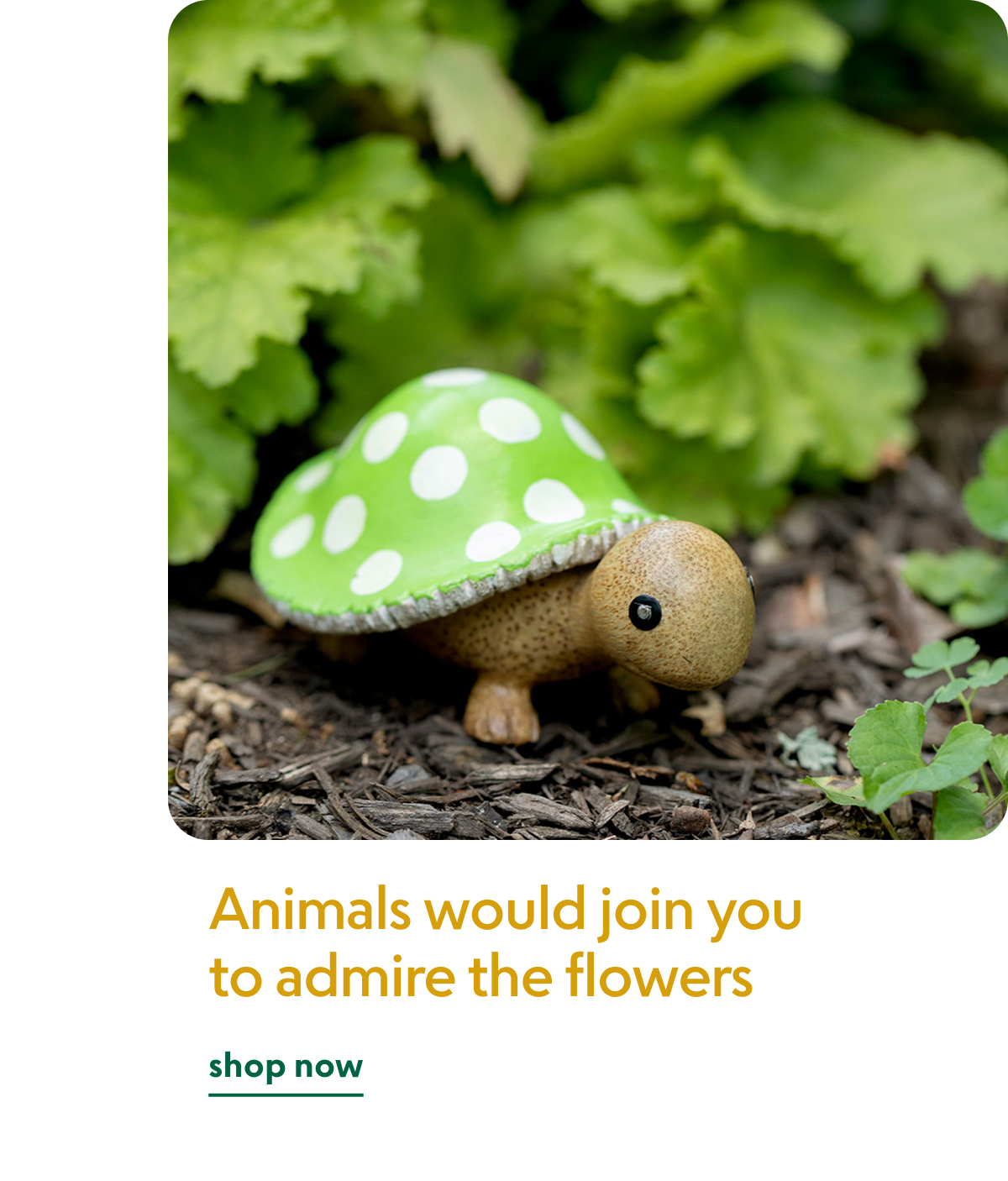 mushroom-garden-turtle