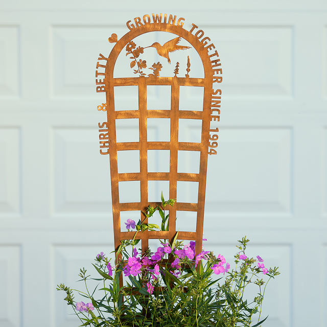  "Personalized