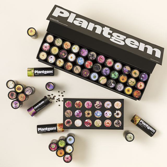Flower Garden in a Box