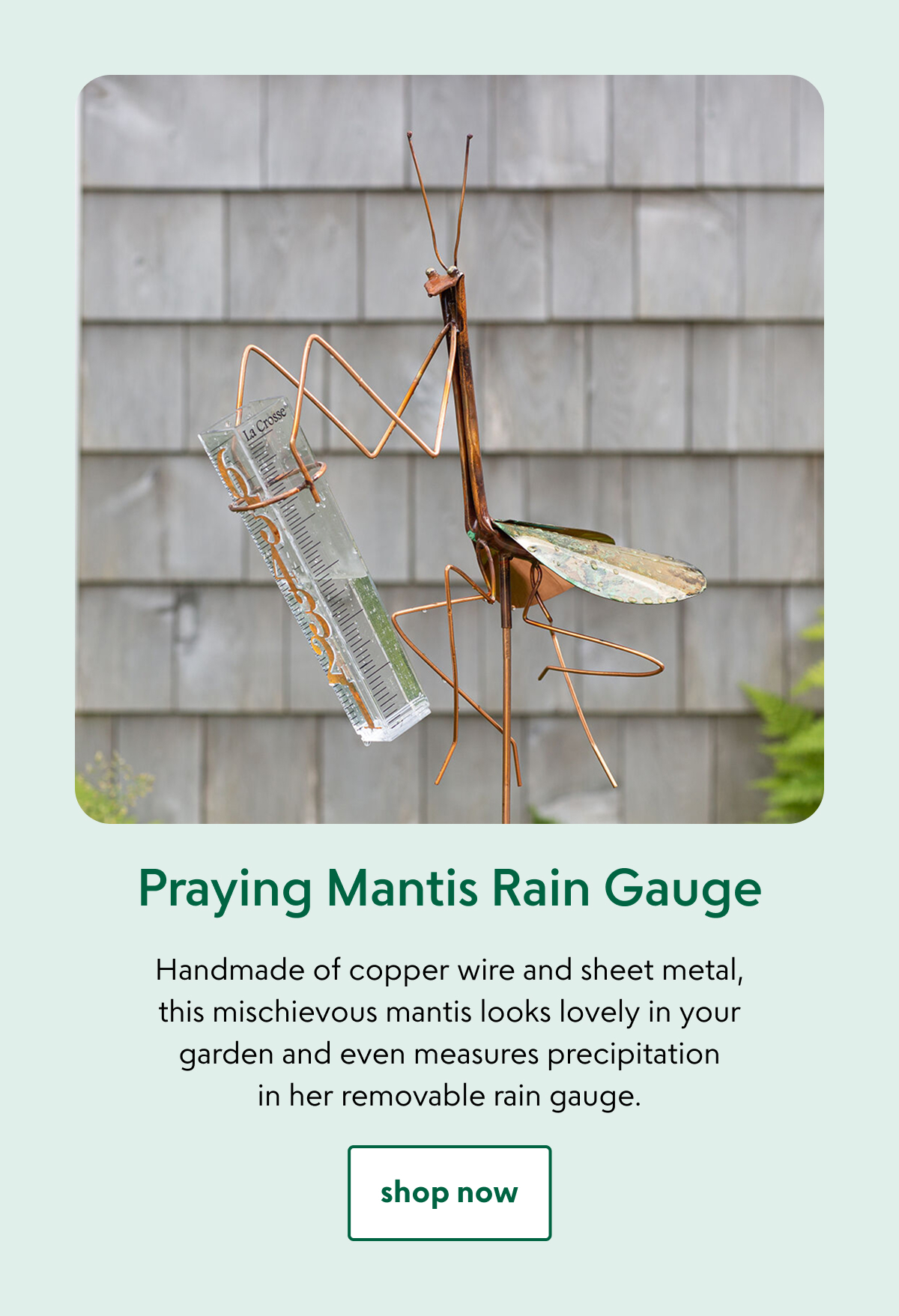 praying-mantis-rain-gauge