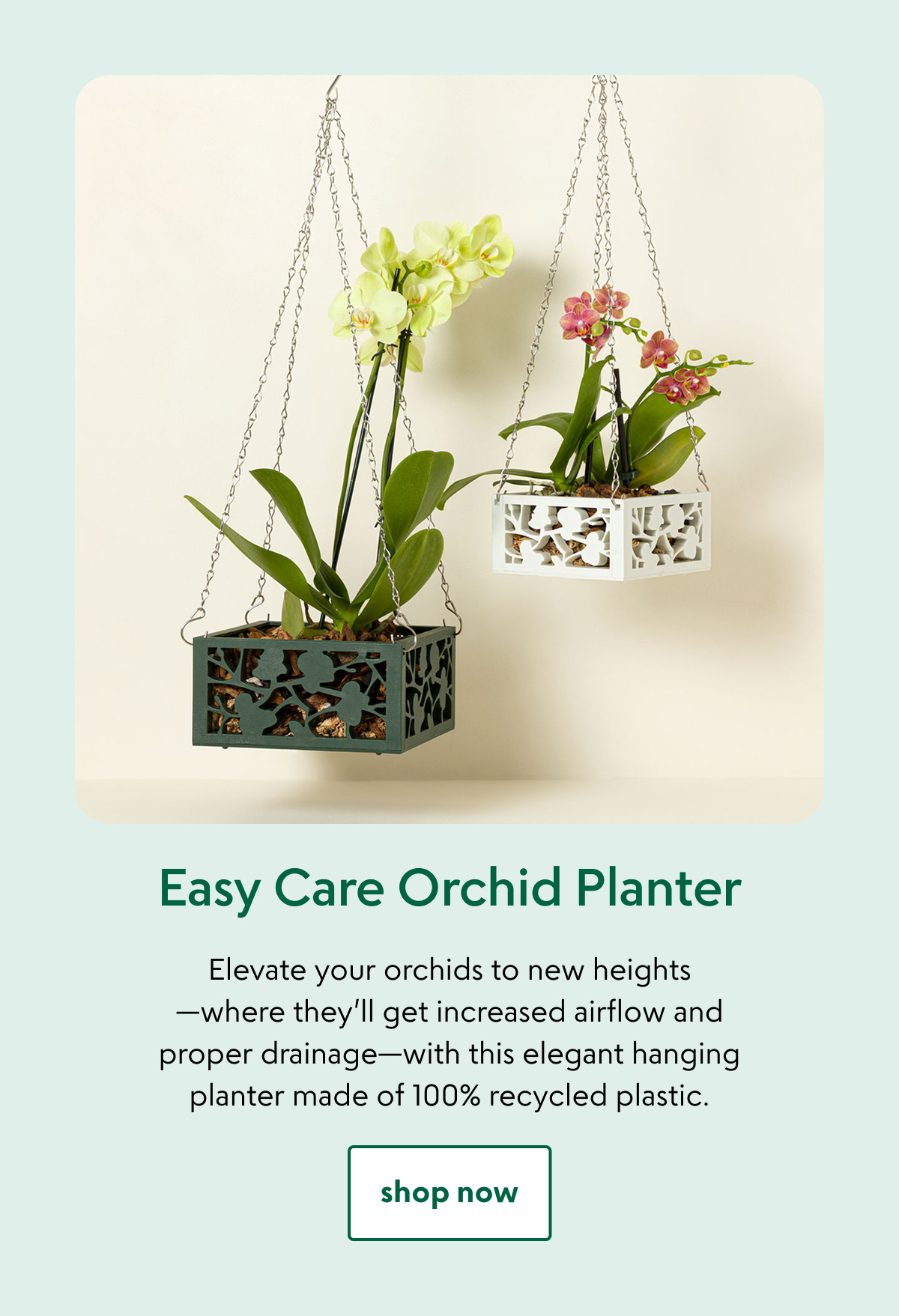 easy-care-orchid-planter