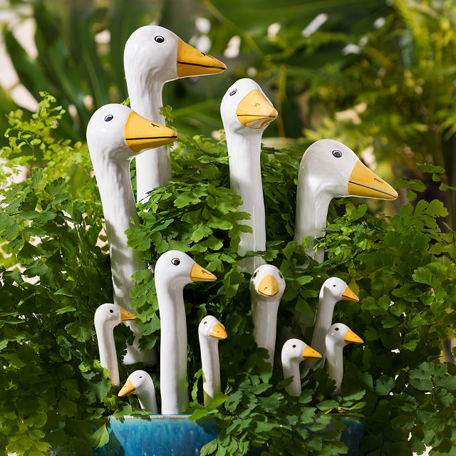  "Garden