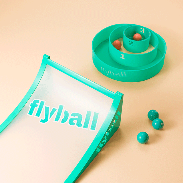  "Flyball