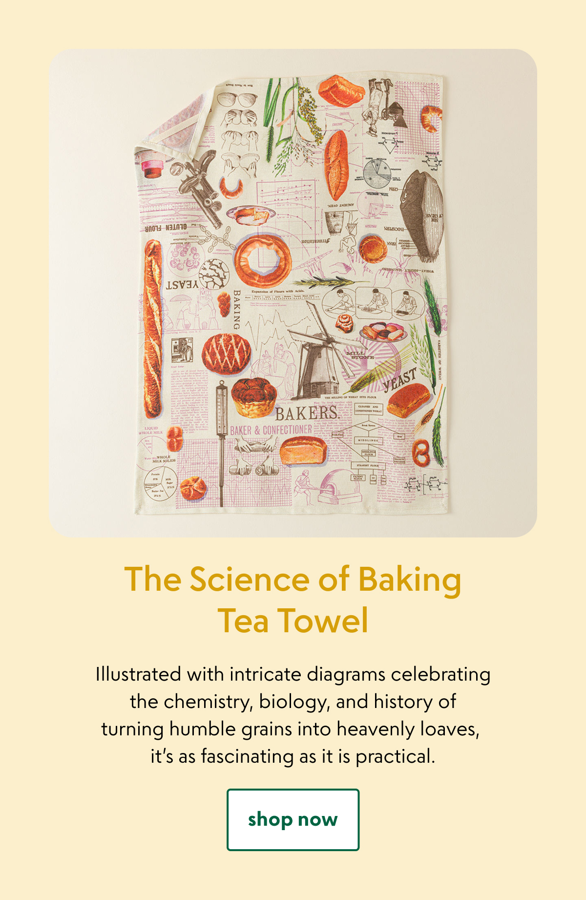 the-science-of-baking-tea-towel