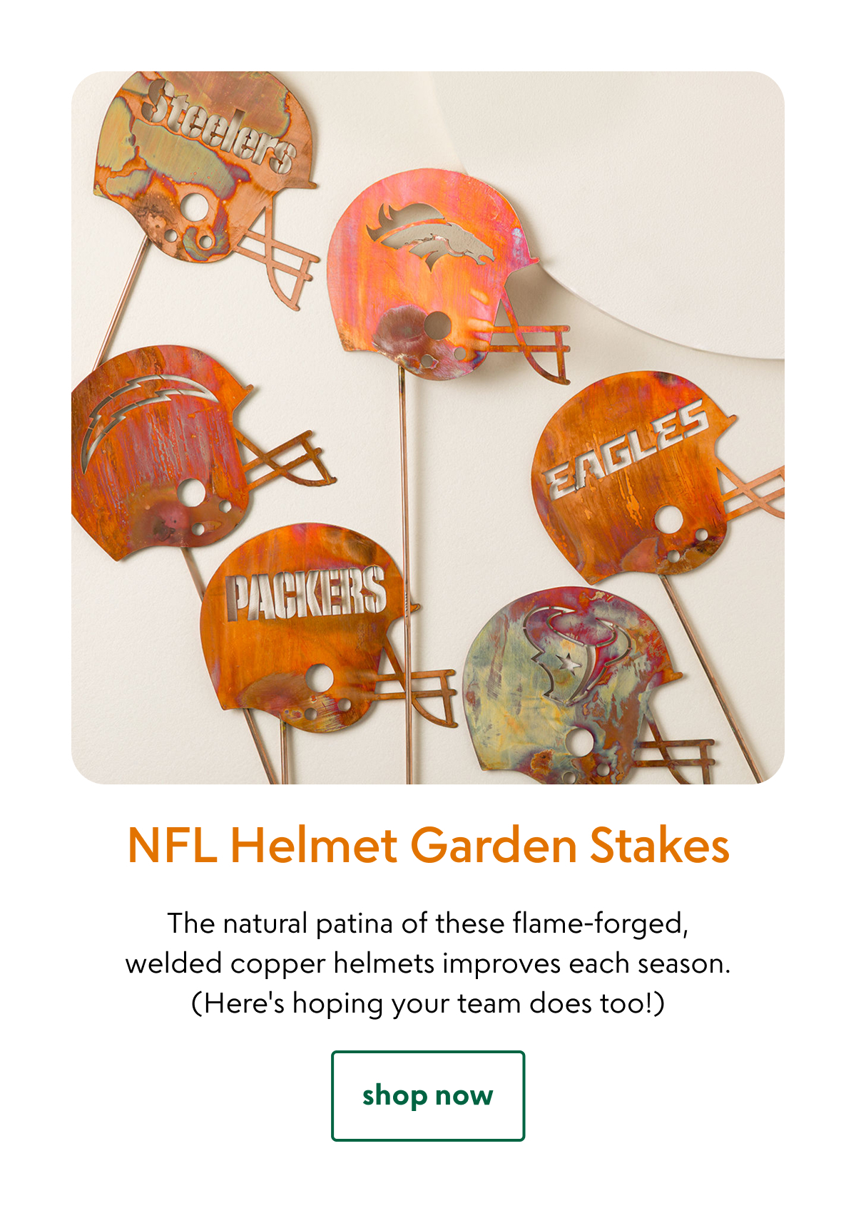 nfl-helmet-garden-stakes