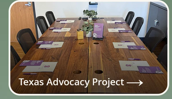Texas Advocacy Project