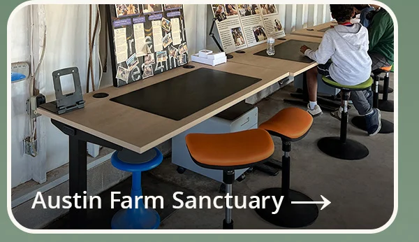 Austin Farm Sanctuary