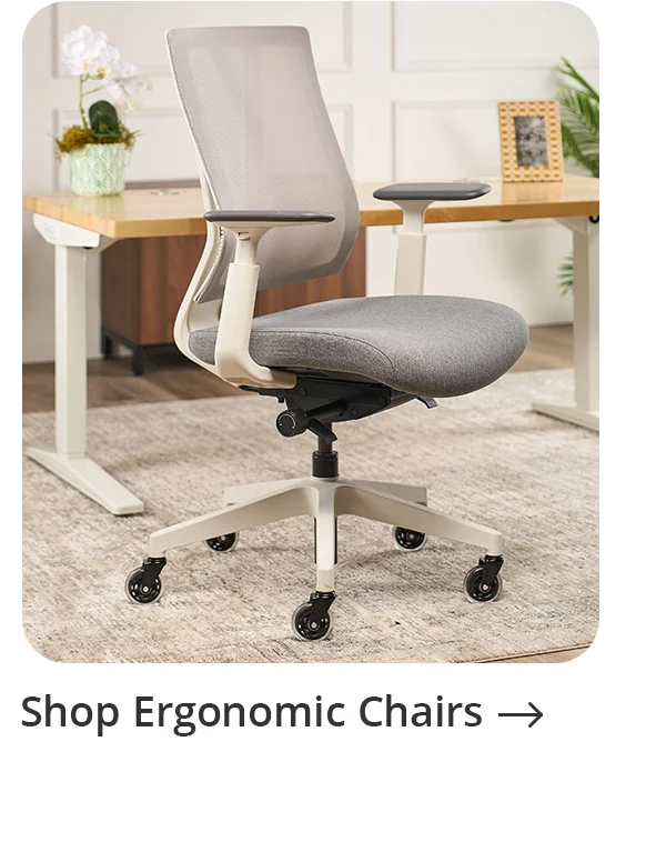 Shop Ergonomic Chairs