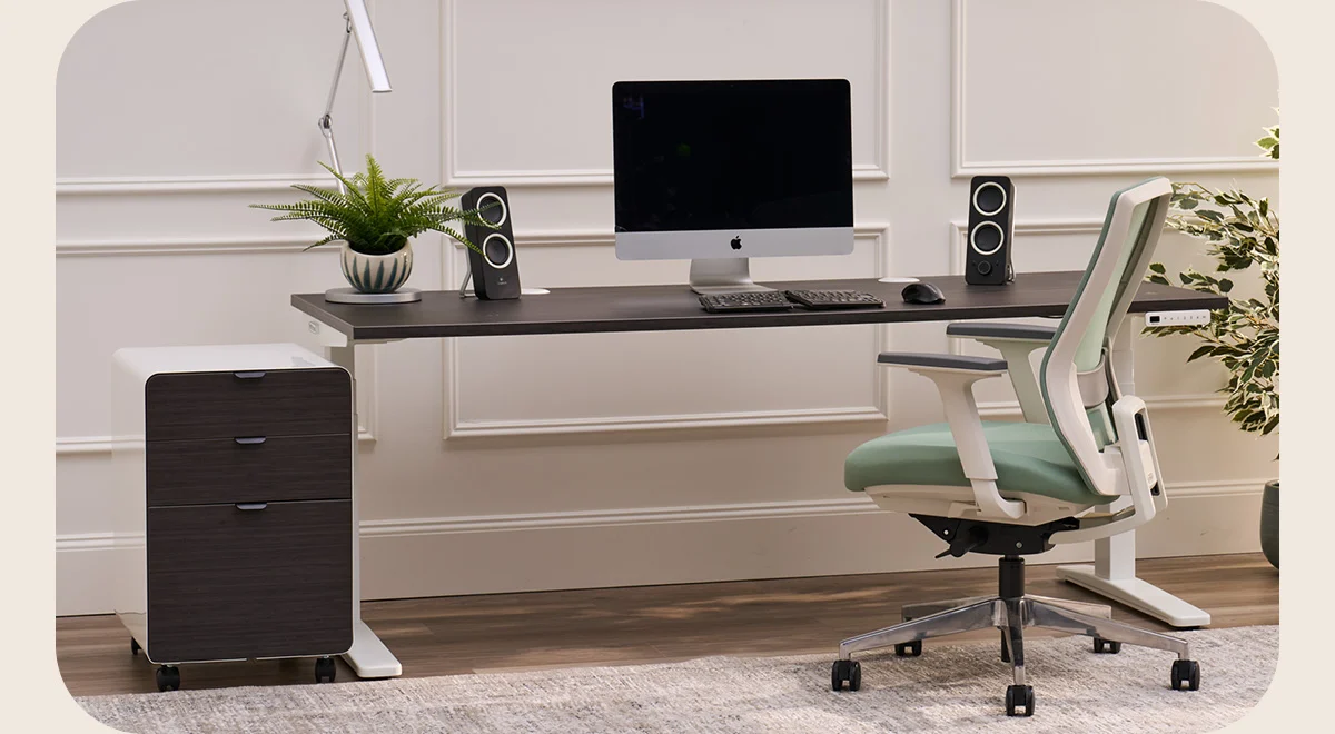 Standing Desk Storage