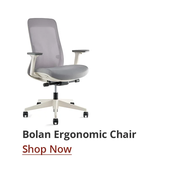 Shop Bolan Ergonomic Chair