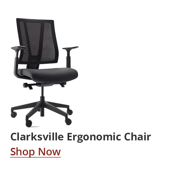Shop Clarksville Ergonomic Chair
