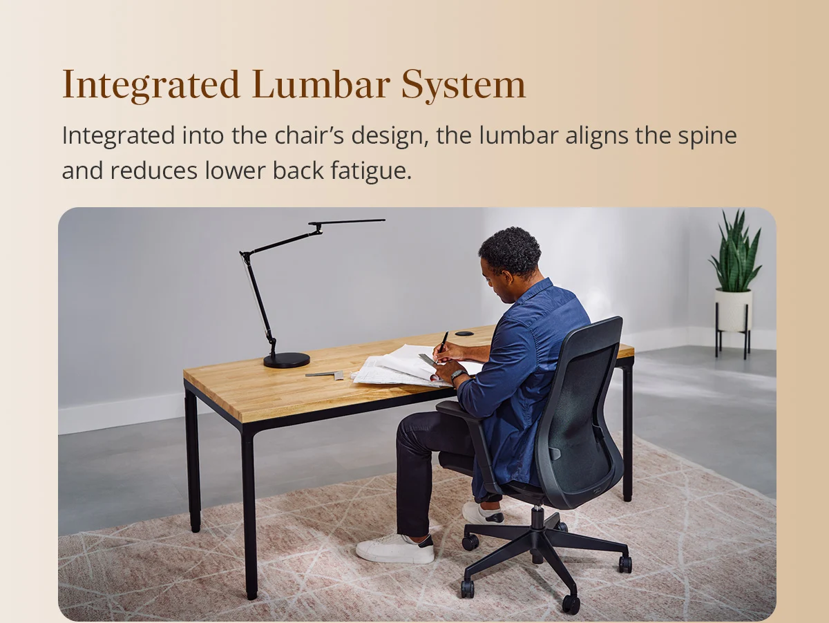 Integrated Lumbar System